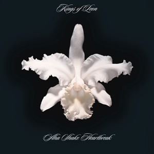 Écouter "Milk" de Kings of Leon