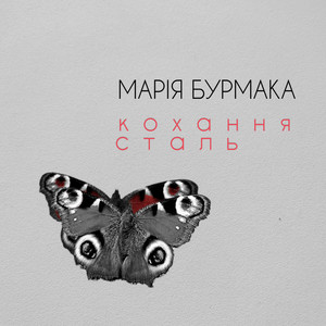 Обкладинка: Кохання сталь