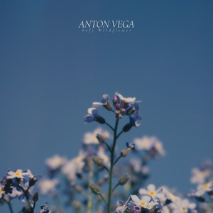 Anton Vega