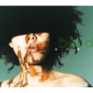 BIRD / 空の瞳 [12inch - AIJT 5045]：JAPANESE：アナログレコード専門