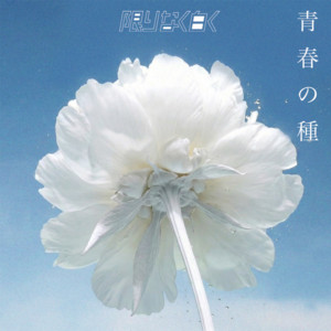 限りなく白くのSpotify画像