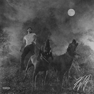 Cover artwork for The Night Champion by Koe Wetzel