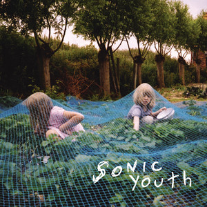 Get Your Hands Off My Tomato: Sonic Youth's Murray Street Turns 20