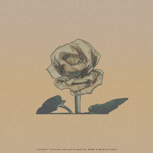 Artwork for Credit by Nedr, Dominik Dale