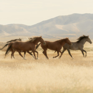 You were born to shine!