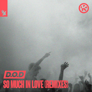 So Much in Love cover artwork