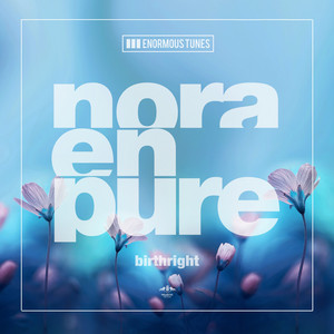 Birthright cover artwork