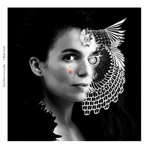 Écouter "I Walk Until[David Donatien Remix]" de Camille
