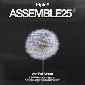 ポラロイド Assemble25 tripleS サイン シンウィ チェキ