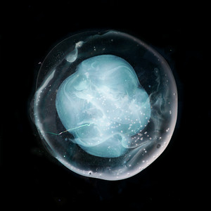 Écouter "The Slow Descent Has Begun" de Adam Wiltzie