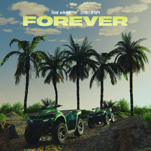 Écouter "Forever" de Tion Wayne