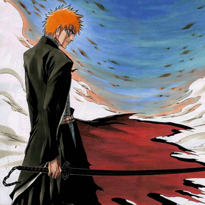 Bankai cover