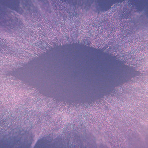 Écouter "Music For Psychedelic Therapy - Excerpt" de Jon Hopkins