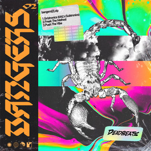 Griztronics cover artwork