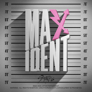 Stray Kids' 'MAXIDENT': Stream It Now