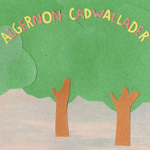 Algernon Cadwallader - Some Kind of Cadwallader | Polyvinyl Record Co.
