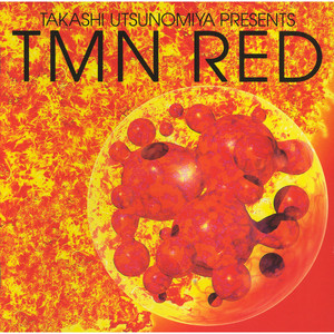 TM NETWORK 'RHYTHM RED BEAT BLACK -VERSION 2.0-': Destroying the