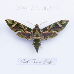 Écouter "Throw a Match" de Cowboy Junkies