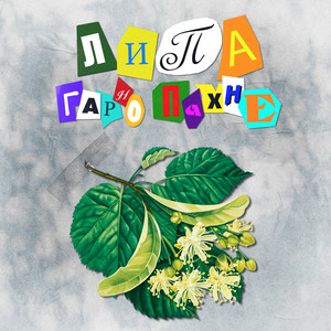 Обкладинка: Липа гарно пахне
