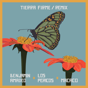 Écouter "Tierra Firme Remix" de Los Pericos