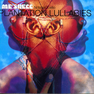Rediscover Meshell Ndegeocello's Debut Album 'Plantation Lullabies
