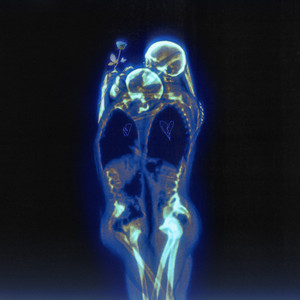 Écouter "CHIARA" de Rondo da Sosa