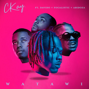 Écouter "WATAWI" de Davido