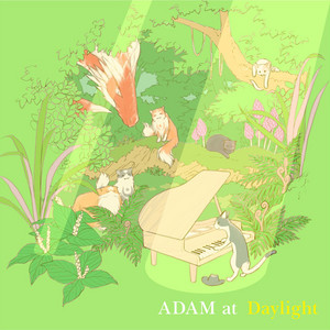 ADAMat CDアルバム11枚セット MUSIC | ADAMat
