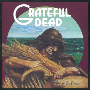 Classic Box Set Review: The Grateful Dead | Beyond Description