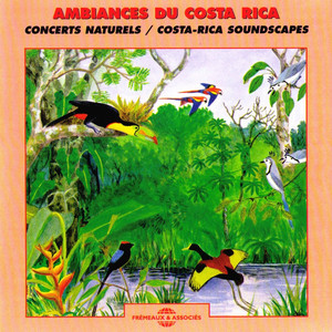 Écouter "Station biologique de La Selva, Le Soir à la Tombée de la Nuit - La Selva Biological Station, Nightfall" de Jean C. Roché