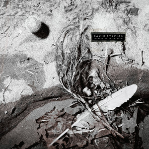 DAVID SYLVIAN / SECRETS OF THE BEEHIVE [LP - VJL-28005]：NEW WAVE