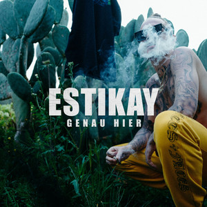 Egal was du machst cover