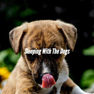 Dream Like Backdrops for Loafing Pup Hour artwork