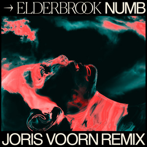 Écouter "Numb - Joris Voorn Remix" de Joris Voorn