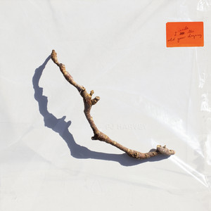 PJ Harvey Pays Gothic Tribute to Dorset on Timeless, Poetic 'I