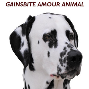Écouter "Rendez-vous chez l'animalier" de Gainsbite