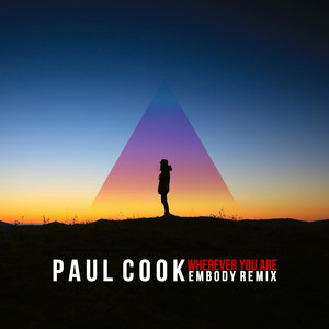 Paul Cook artist picture