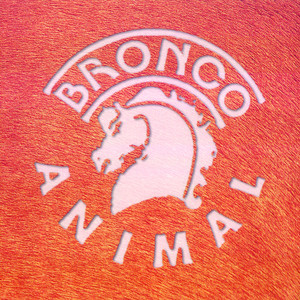 Écouter "Todo Con Ella" de Bronco