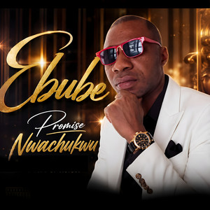 Ebube by Promise Nwachukwu cover art