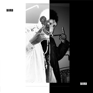 BIIRD artist picture