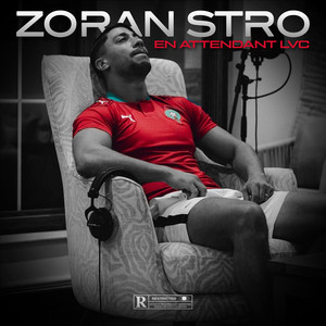 Écouter "Autonomie" de Zoran Stro