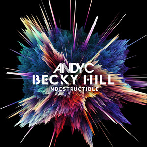 Indestructible cover artwork