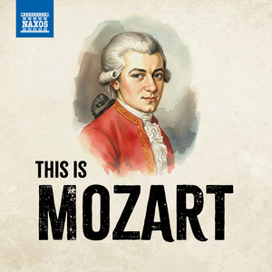 Écouter "II. Andante" de Wolfgang Amadeus Mozart