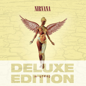 Set Review: Nirvana – “In Utero” (30th Anniversary Reissue