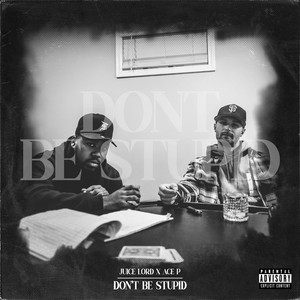 Don't Be Stupid cover art