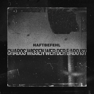 Écouter "Chabos wissen wer der Babo ist- Young Babos Remix" de Haftbefehl