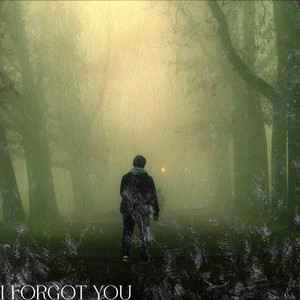 I Forgot You.