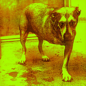 Écouter "Again" de Alice In Chains
