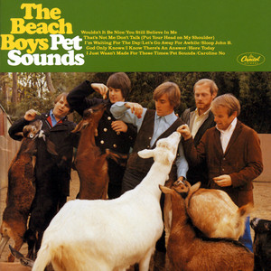 Split Record Review: 'Pet Sounds' | The Daily Campus