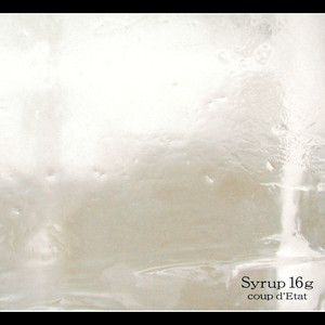 coup d'Etat | syrup16g Review